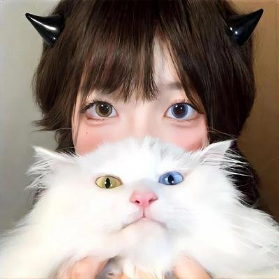 秋田犬蓬夫